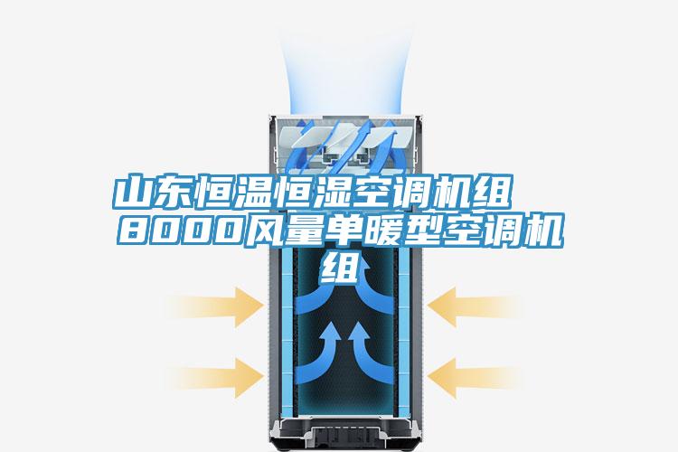 山東恒溫恒濕空調機組 8000風量單暖型空調機組