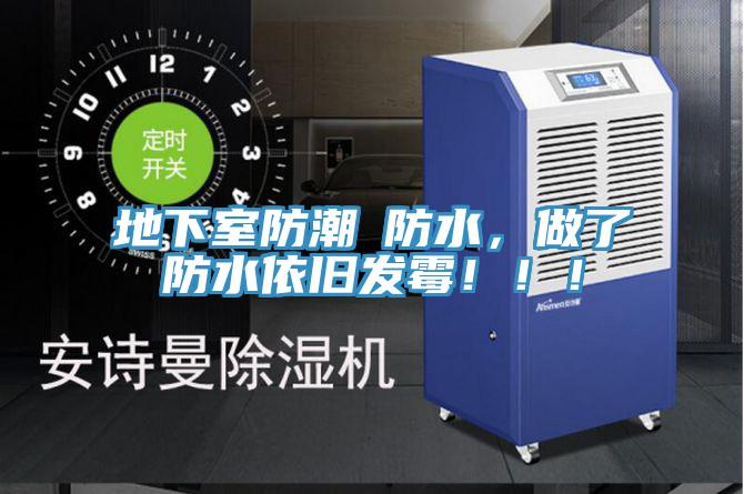 地下室防潮≠防水,做了防水依舊發霉!!!