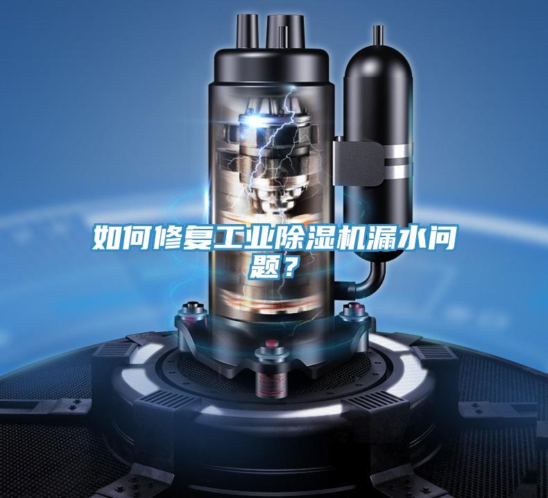 如何修復(fù)工業(yè)除濕機漏水問題？