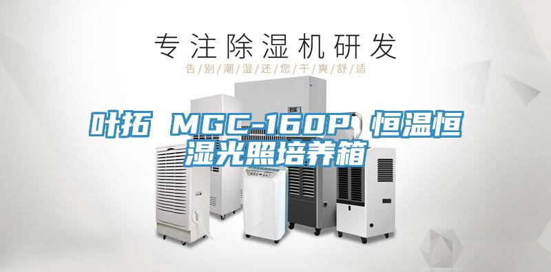 葉拓 MGC-160P 恒溫恒濕光照培養箱