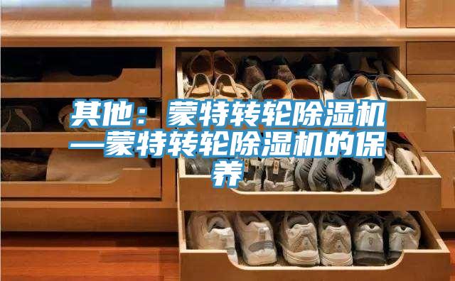 其他:蒙特轉(zhuǎn)輪除濕機—蒙特轉(zhuǎn)輪除濕機的保養(yǎng)