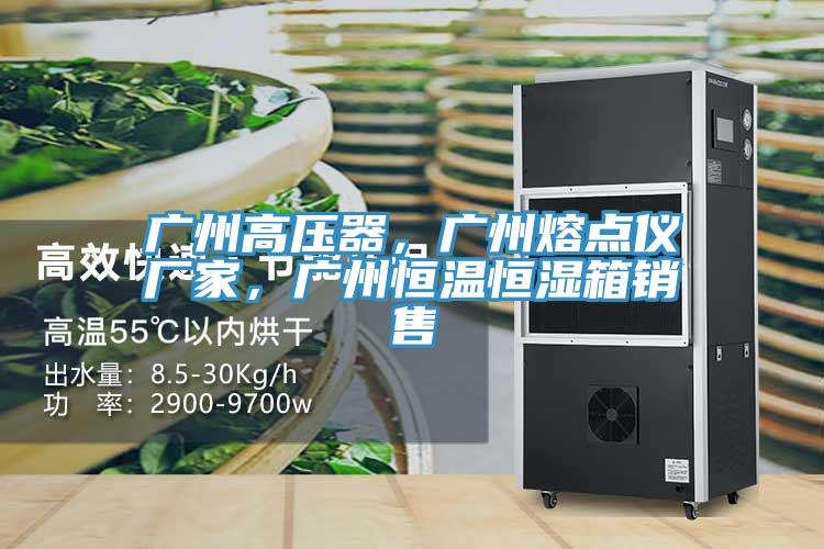 廣州高壓器,廣州熔點儀廠家,廣州恒溫恒濕箱銷售