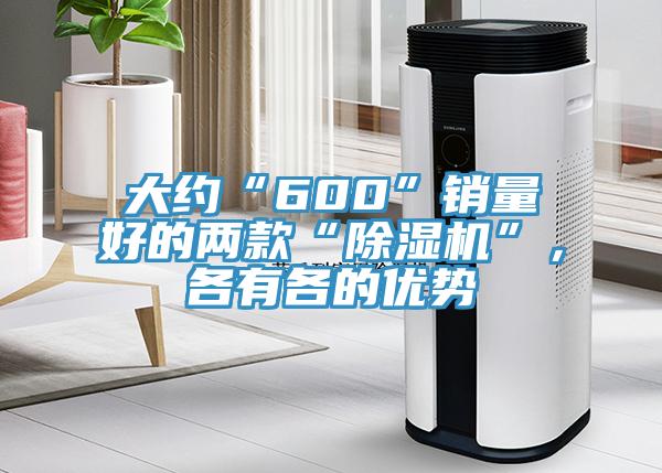 大約“600”銷量好的兩款“除濕機(jī)”,各有各的優(yōu)勢