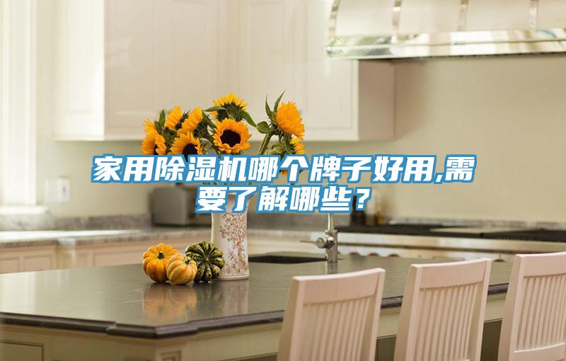 家用除濕機哪個牌子好用,需要了解哪些?