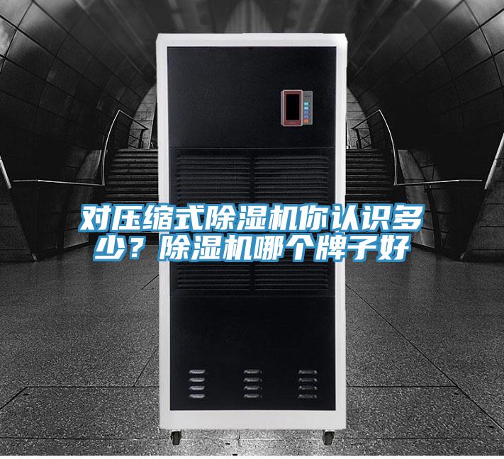 對壓縮式除濕機(jī)你認(rèn)識多少？除濕機(jī)哪個(gè)牌子好