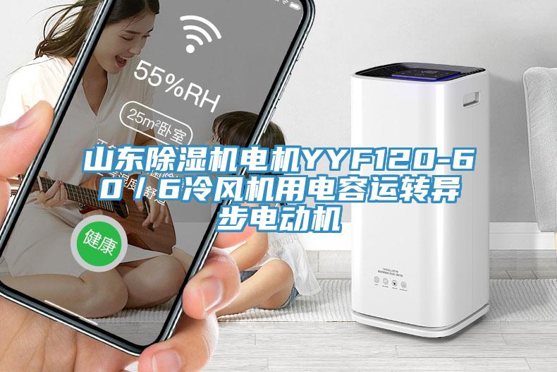 山東除濕機電機YYF120-60／6冷風機用電容運轉(zhuǎn)異步電動機