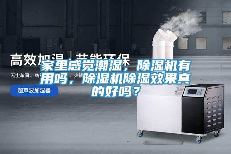 家里感覺潮濕,除濕機有用嗎,除濕機除濕效果真的好嗎?