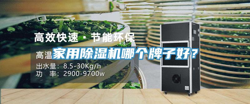 家用除濕機哪個牌子好?