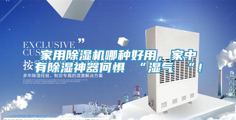 家用除濕機哪種好用，家中有除濕神器何懼 “濕氣 “！