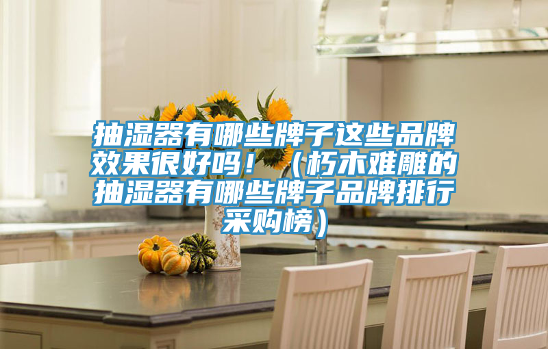 抽濕器有哪些牌子這些品牌效果很好嗎!(朽木難雕的抽濕器有哪些牌子品牌排行采購榜)