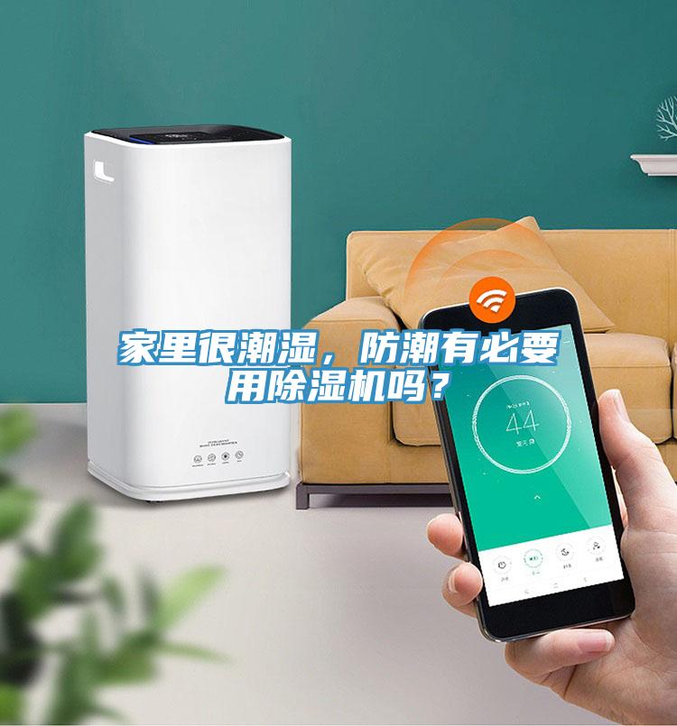 家里很潮濕,防潮有必要用除濕機嗎?