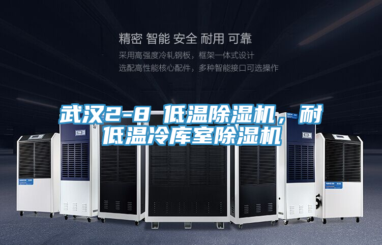 武漢2-8℃低溫除濕機，耐低溫冷庫室除濕機