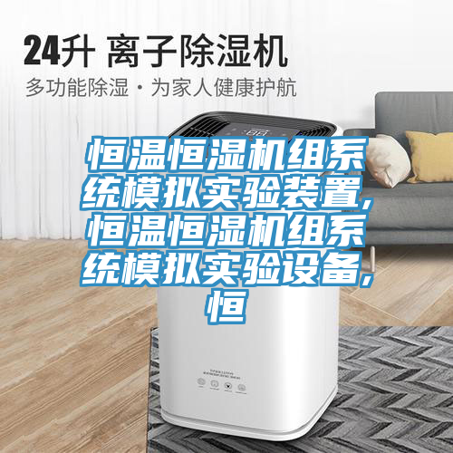 恒溫恒濕機(jī)組系統(tǒng)模擬實驗裝置,恒溫恒濕機(jī)組系統(tǒng)模擬實驗設(shè)備,恒