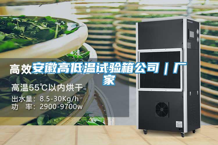 安徽高低溫試驗箱公司|廠家
