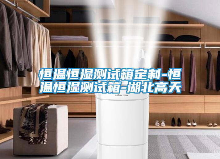 恒溫恒濕測(cè)試箱定制-恒溫恒濕測(cè)試箱-湖北高天