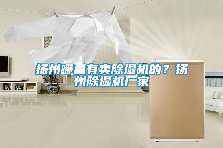揚州哪里有賣除濕機的?揚州除濕機廠家