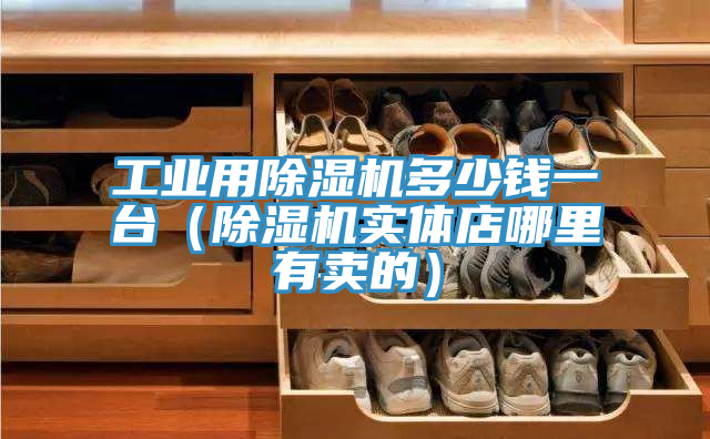 工業(yè)用除濕機(jī)多少錢(qián)一臺(tái)（除濕機(jī)實(shí)體店哪里有賣(mài)的）