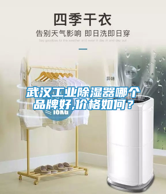 武漢工業(yè)除濕器哪個品牌好,價格如何？