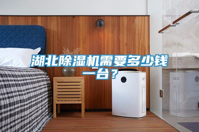湖北除濕機需要多少錢一臺?
