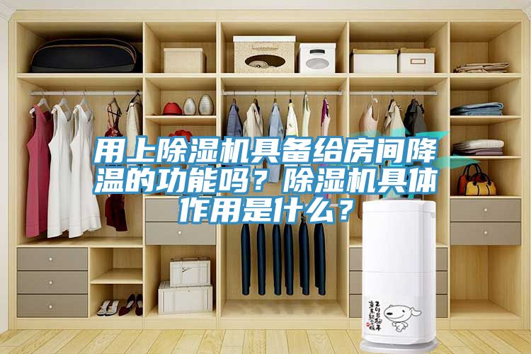 用上除濕機具備給房間降溫的功能嗎?除濕機具體作用是什么?