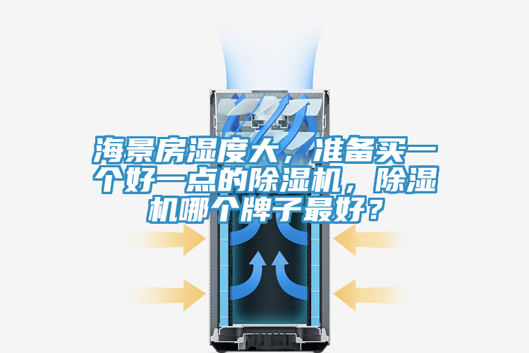 海景房濕度大，準備買一個好一點的除濕機，除濕機哪個牌子最好？