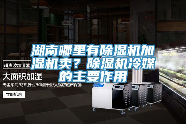 湖南哪里有除濕機加濕機賣?除濕機冷媒的主要作用