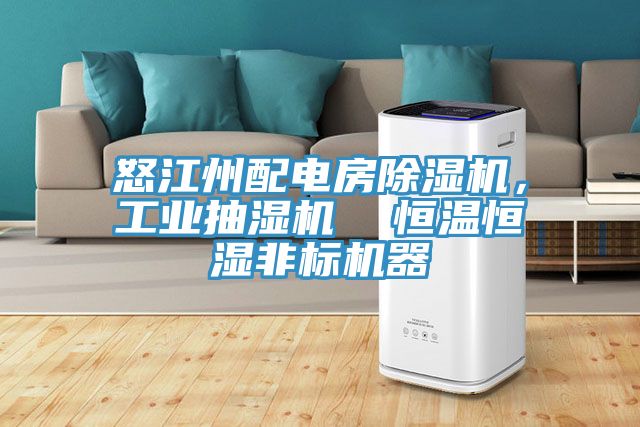 怒江州配電房除濕機,工業抽濕機 恒溫恒濕非標機器