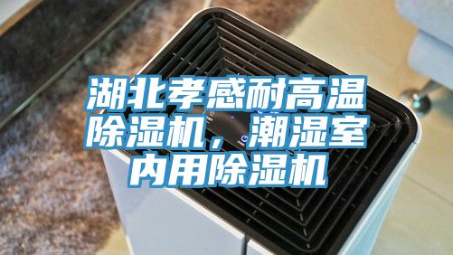 湖北孝感耐高溫除濕機,潮濕室內用除濕機