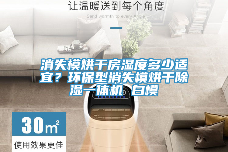 消失模烘干房濕度多少適宜？環(huán)保型消失模烘干除濕一體機(jī) 白模