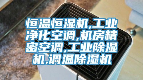 恒溫恒濕機,工業凈化空調,機房精密空調,工業除濕機,調溫除濕機