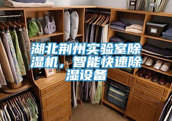 湖北荊州實驗室除濕機,智能快速除濕設備