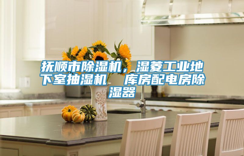 撫順市除濕機，濕菱工業地下室抽濕機  庫房配電房除濕器