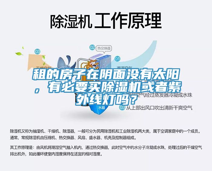 租的房子在陰面沒有太陽，有必要買除濕機或者紫外線燈嗎？