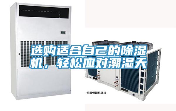 選購適合自己的除濕機，輕松應對潮濕天