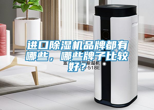 進口除濕機品牌都有哪些，哪些牌子比較好？