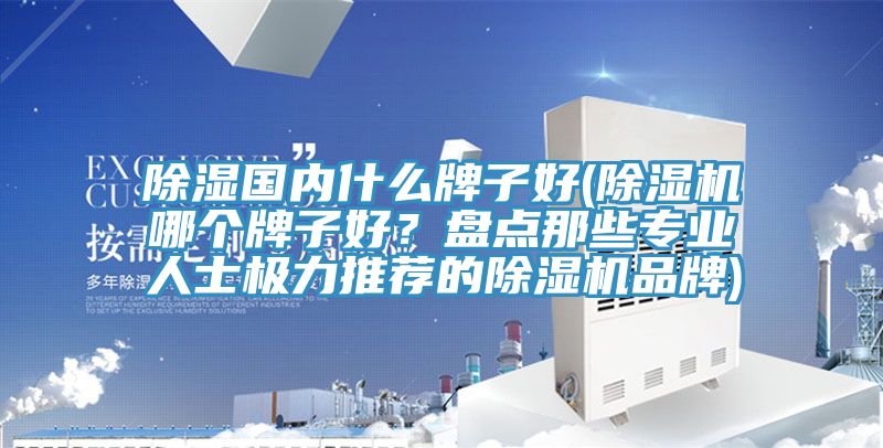除濕國內什么牌子好(除濕機哪個牌子好？盤點那些專業人士極力推薦的除濕機品牌)