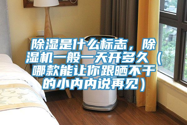 除濕是什么標志，除濕機一般一天開多久（哪款能讓你跟曬不干的小內內說再見）