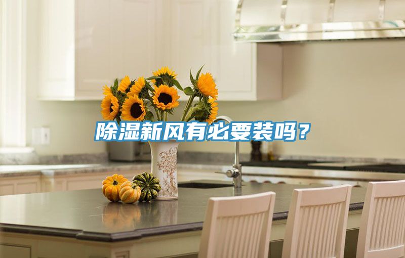 除濕新風有必要裝嗎？