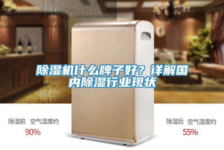除濕機(jī)什么牌子好？詳解國內(nèi)除濕行業(yè)現(xiàn)狀