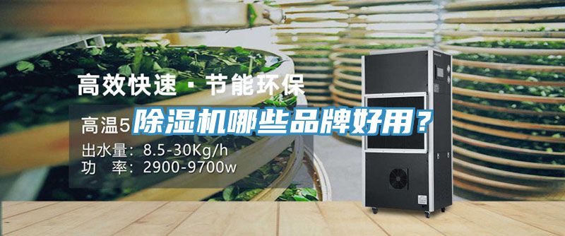 除濕機哪些品牌好用？