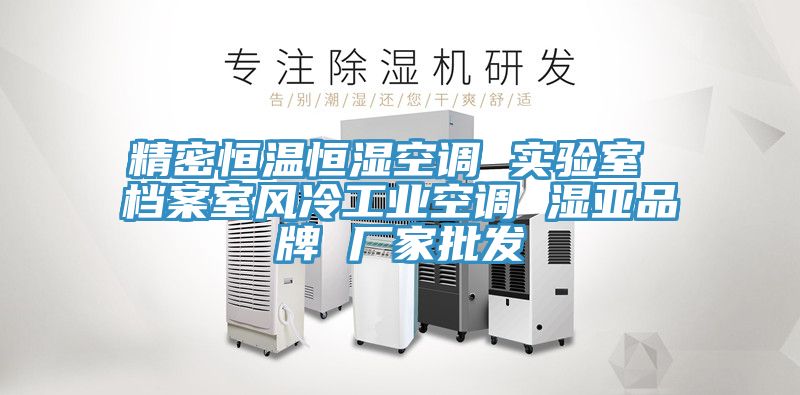 精密恒溫恒濕空調(diào) 實(shí)驗(yàn)室 檔案室風(fēng)冷工業(yè)空調(diào) 濕亞品牌 廠(chǎng)家批發(fā)