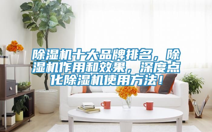 除濕機十大品牌排名，除濕機作用和效果，深度點化除濕機使用方法！