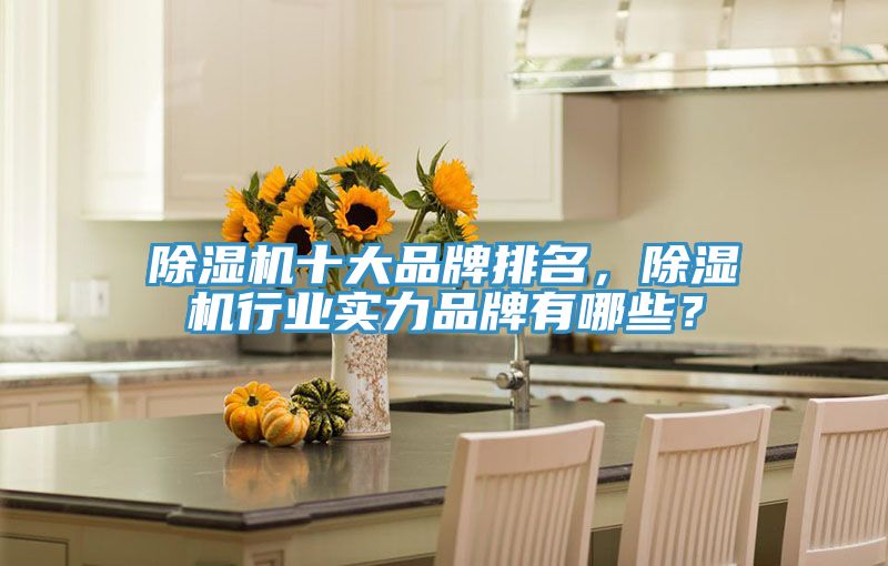 除濕機十大品牌排名，除濕機行業(yè)實力品牌有哪些？