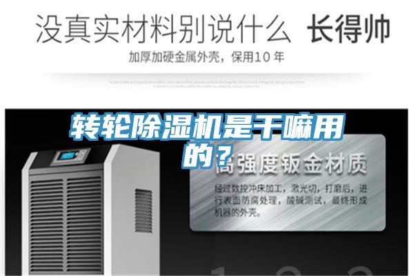 轉(zhuǎn)輪除濕機是干嘛用的？