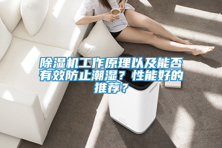 除濕機工作原理以及能否有效防止潮濕？性能好的推薦？