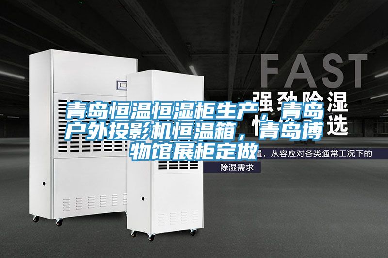 青島恒溫恒濕柜生產，青島戶外投影機恒溫箱，青島博物館展柜定做