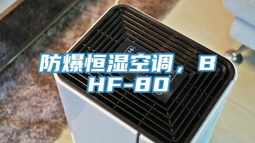 防爆恒濕空調，BHF-80